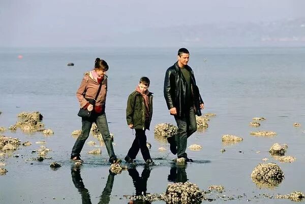 法兰基,我的爱-法兰基的微笑