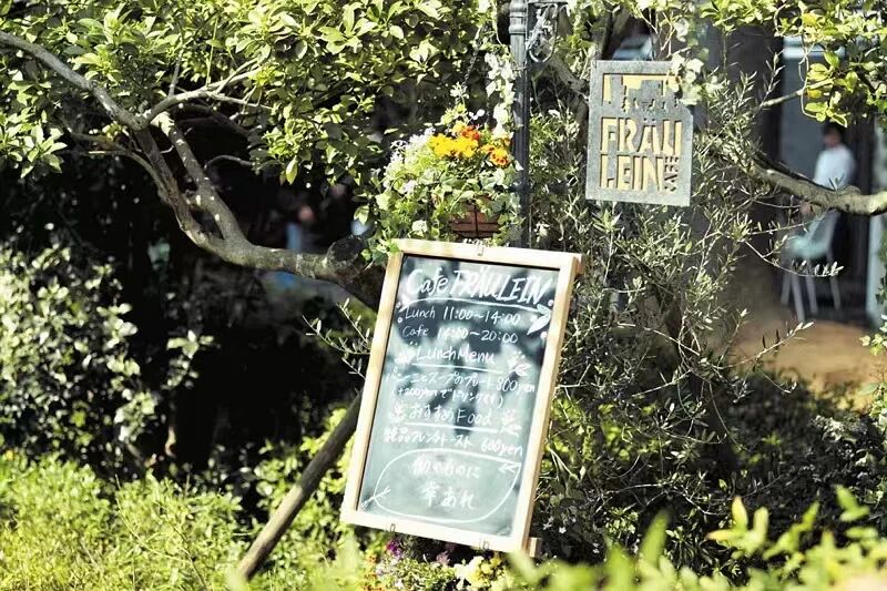 小好、小麻、佐和子-电影美学