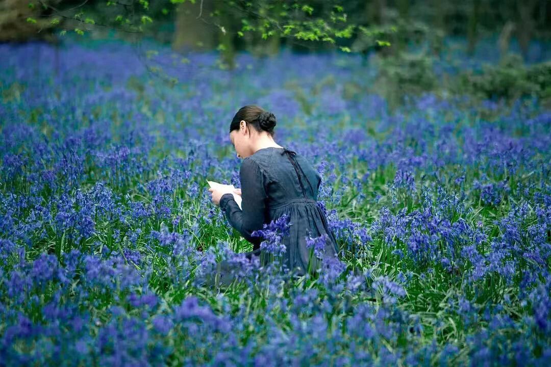 明亮的星-女主角在蓝色花海中写作