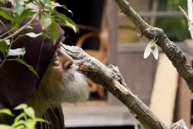 有熊谷守一在的地方-山崎努树木希林