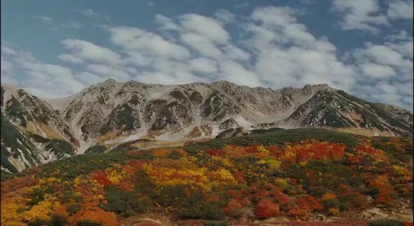 背负春天-秋天的山脉景色，山脚下是色彩斑斓的森林