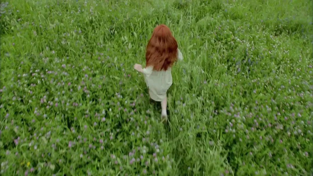 清秀佳人小女孩在开满野花的草地上奔跑